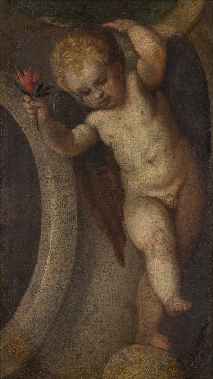 Puttó piros virággal, 1548-88 körül (olaj, vászon) alkotó: Veronese