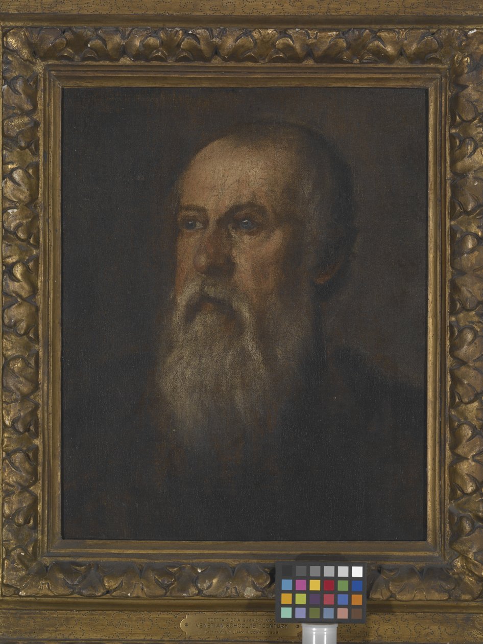 Egy szakállas férfi portréja (olaj, vászon a táblára rögzítve) alkotó: (1528 88) Veronese