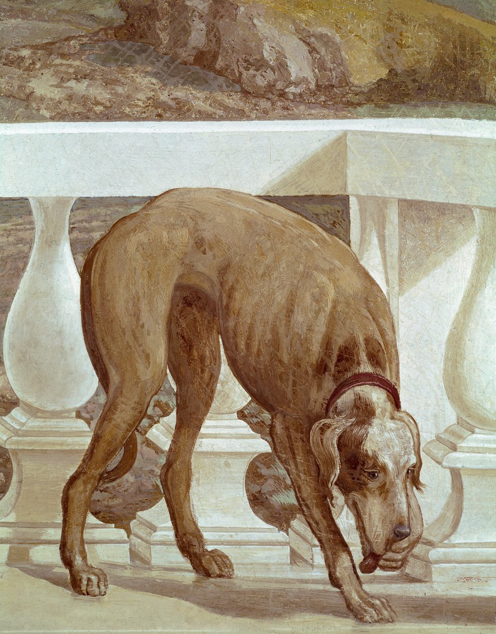 Kutya az erkélyen. Friss részlet. Paolo Caliari Paolo Veronese (1528-1588) című festménye, 1561 körül. Fresco Maser (Treviso), Villa Barbaro, Bacchus szobája alkotó: Veronese