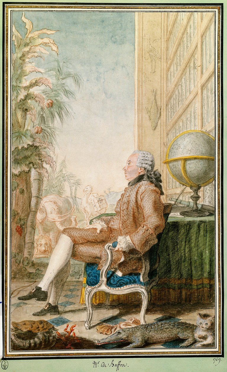 Georges-Louis Leclerc, Buffon grófjának (1707-1788), természettudósnak, a Jardin du Roi intendánsának portréja. Louis Carrogis Carmontelle (1717-1806) akvarellje. Chantilly. Conde Múzeum alkotó: Carmontelle