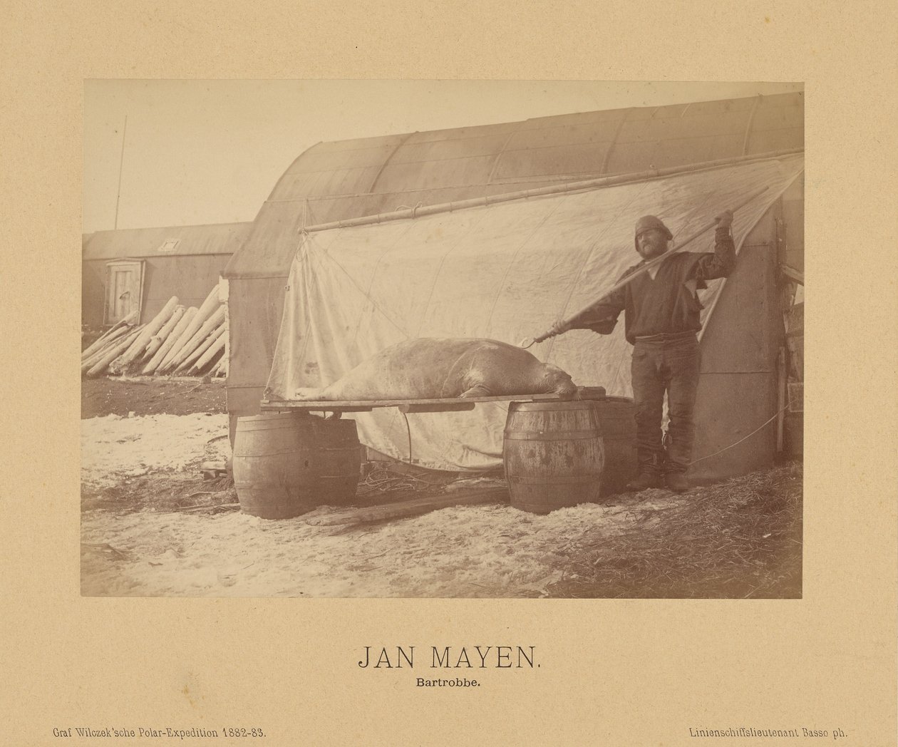 Jan Mayen, Bartrobbe alkotó: (Linienschiffs Lieutenant) Richard Basso