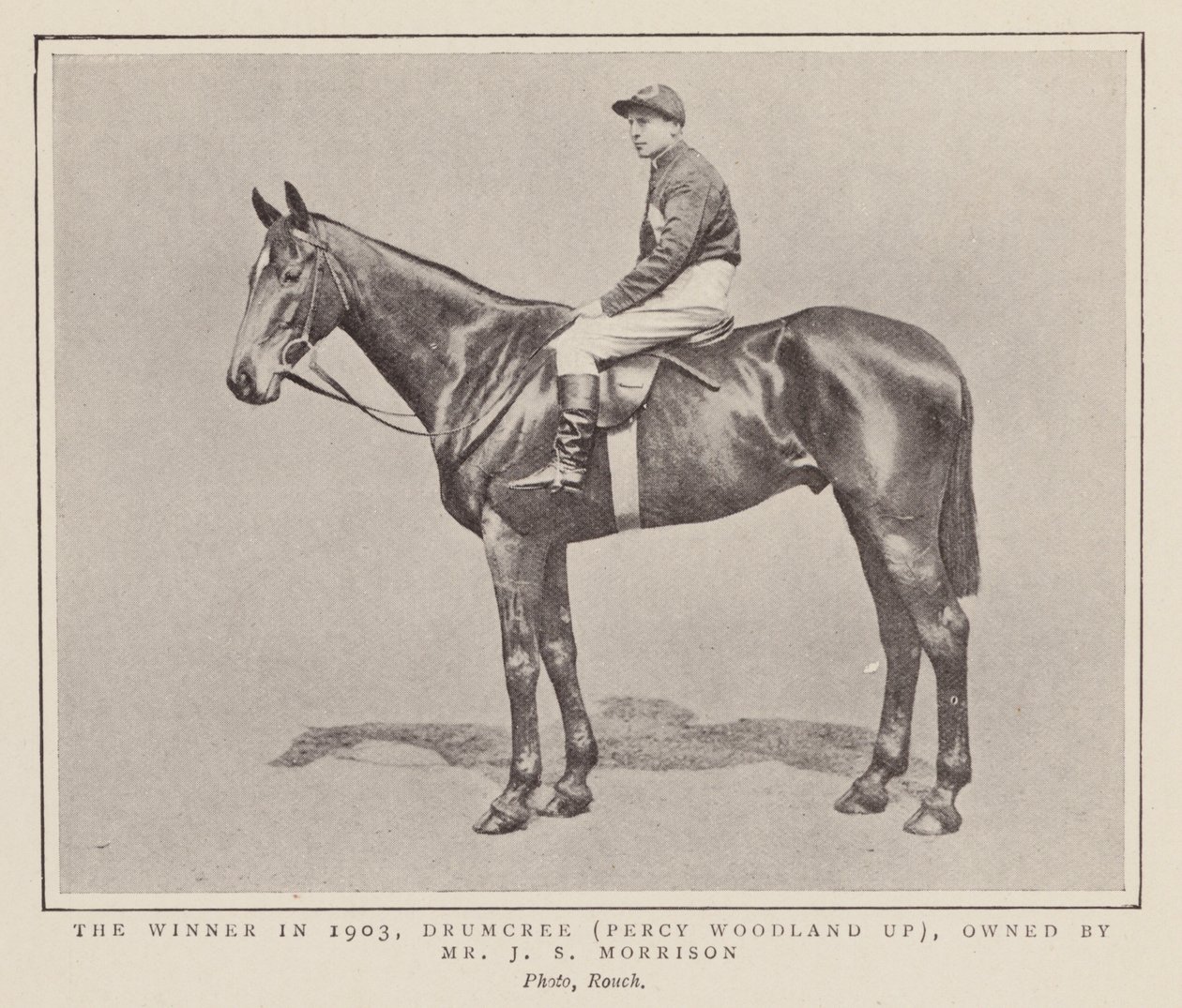 Drumcree, az 1903-as Grand National győztese (fekete-fehér fotó) alkotó: (after) English photographer