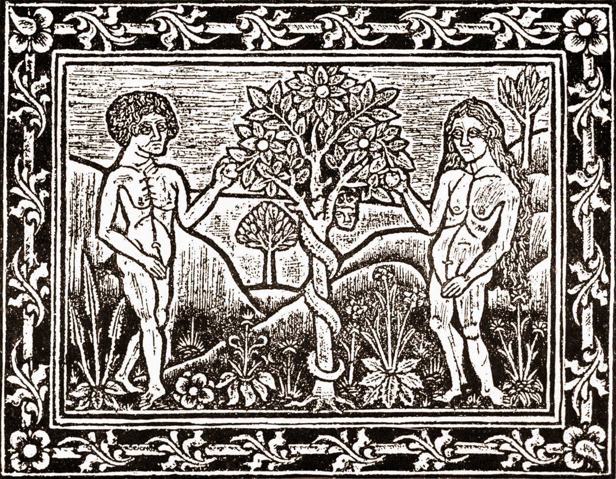 A fa, amelyről Ádám megette az almát, fakszimilie egy meditációs könyvből, az első könyvből, amelyet a languedoci Albiban nyomtattak 1481-ben alkotó: (after) French School