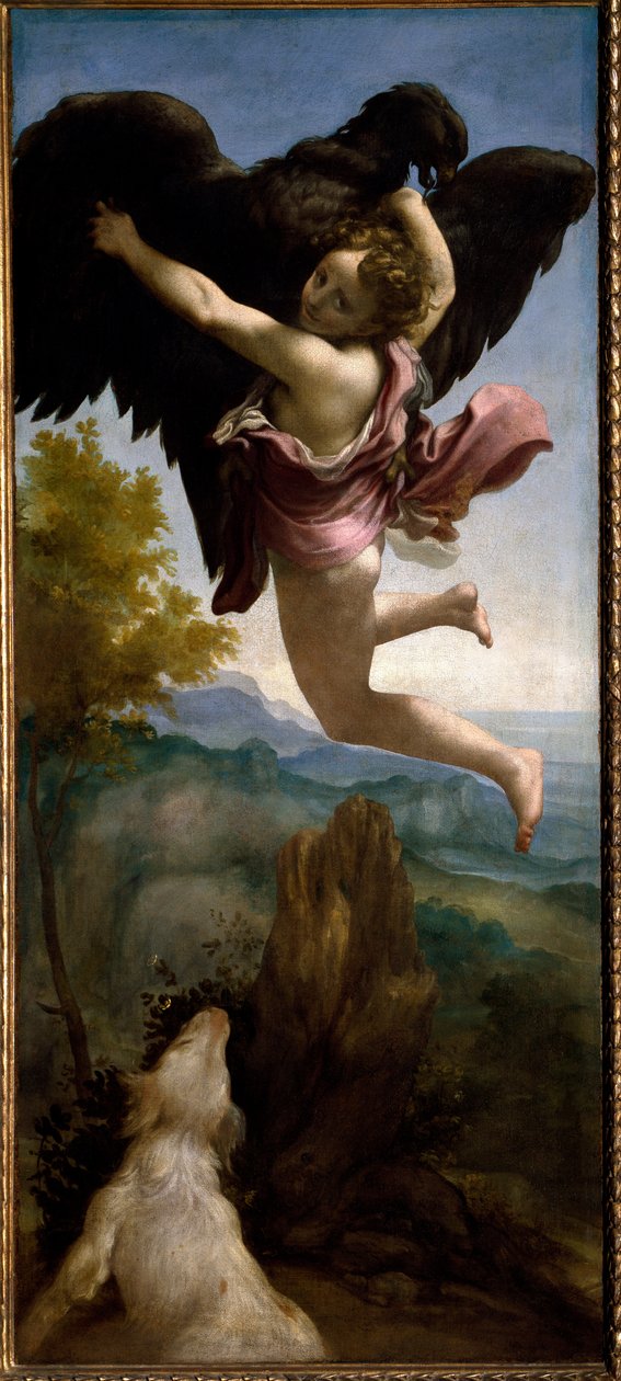 Ganymedes elrablása (festmény, 1531 körül) alkotó: (c.1489 1534) Correggio