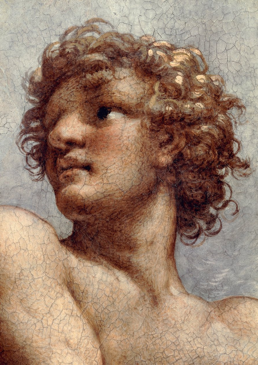 Szent János evangélista látomása Patmoszon, Krisztus mennybemenetele az apostolok között, avagy Krisztus dicsőségben Antonio Allegri, Correggio néven (1489-kb. 1534), freskó, 966x888 cm átmérőjű aljzat, részlet, Szent János evangélista templom, kupola, Par alkotó: (c.1489-1534) Correggio