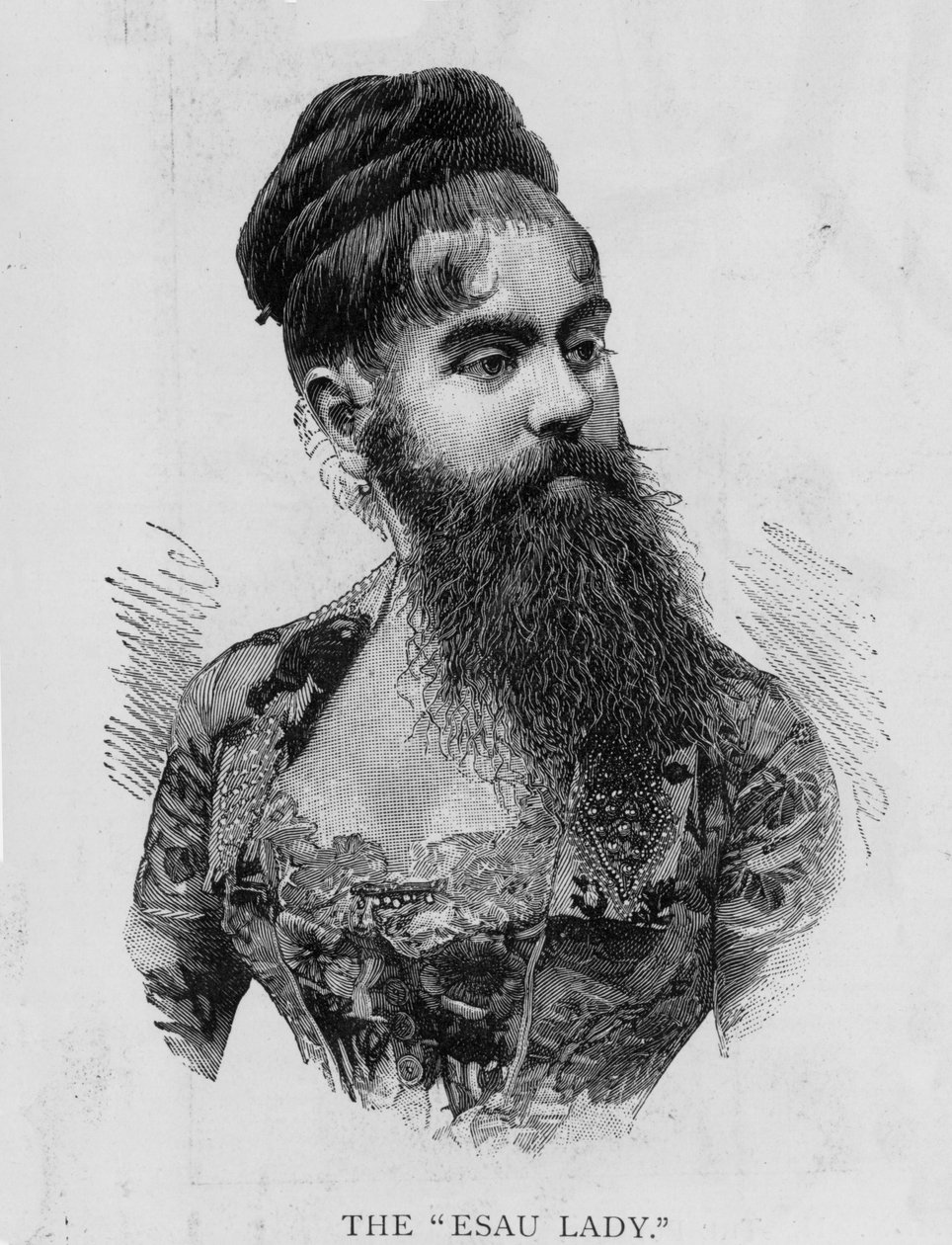 Annie Jones, az Ézsau Lady, 1893 alkotó: Unknown