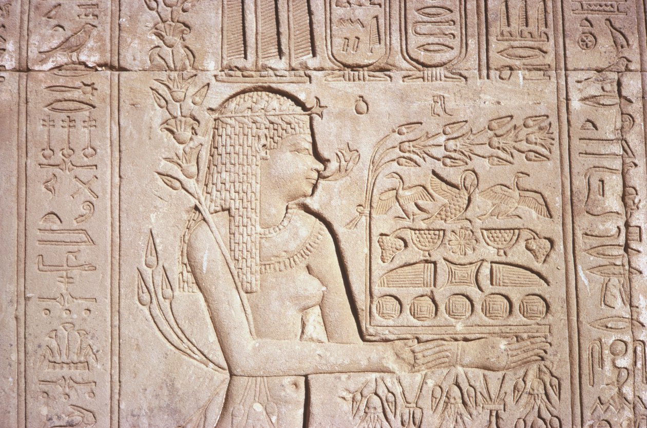 Egyiptom, Dendara, bonyolult falfaragások a Hathor templom keleti falán. alkotó: Unknown