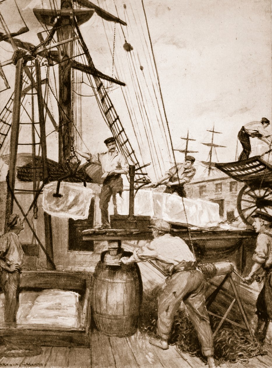 Egy norvég jéghajó érkezése és kirakodása a londoni rakparton alkotó: Unknown
