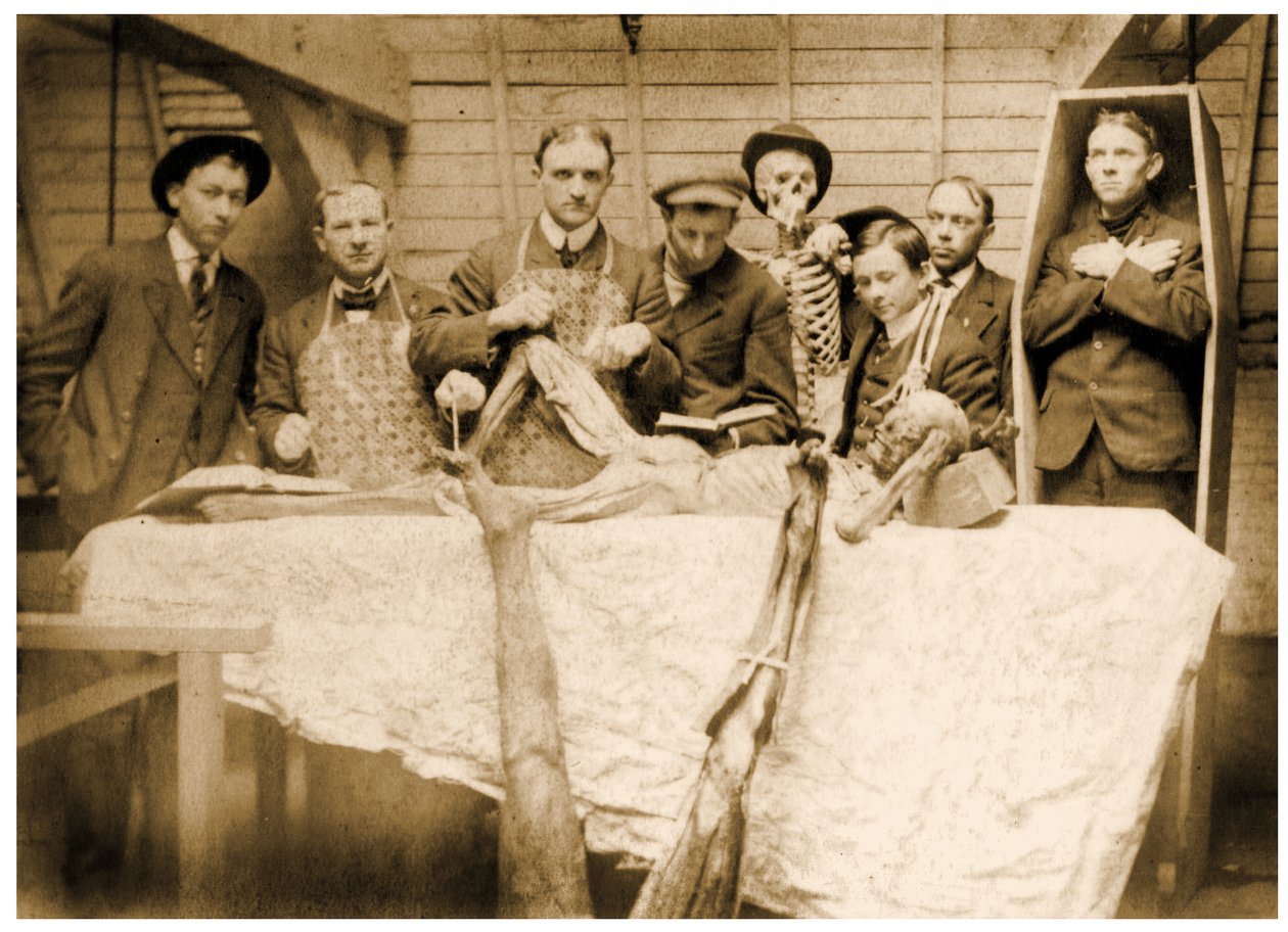 Viktoriánus orvostanhallgatók holttestekkel, 1890 körül alkotó: Unknown