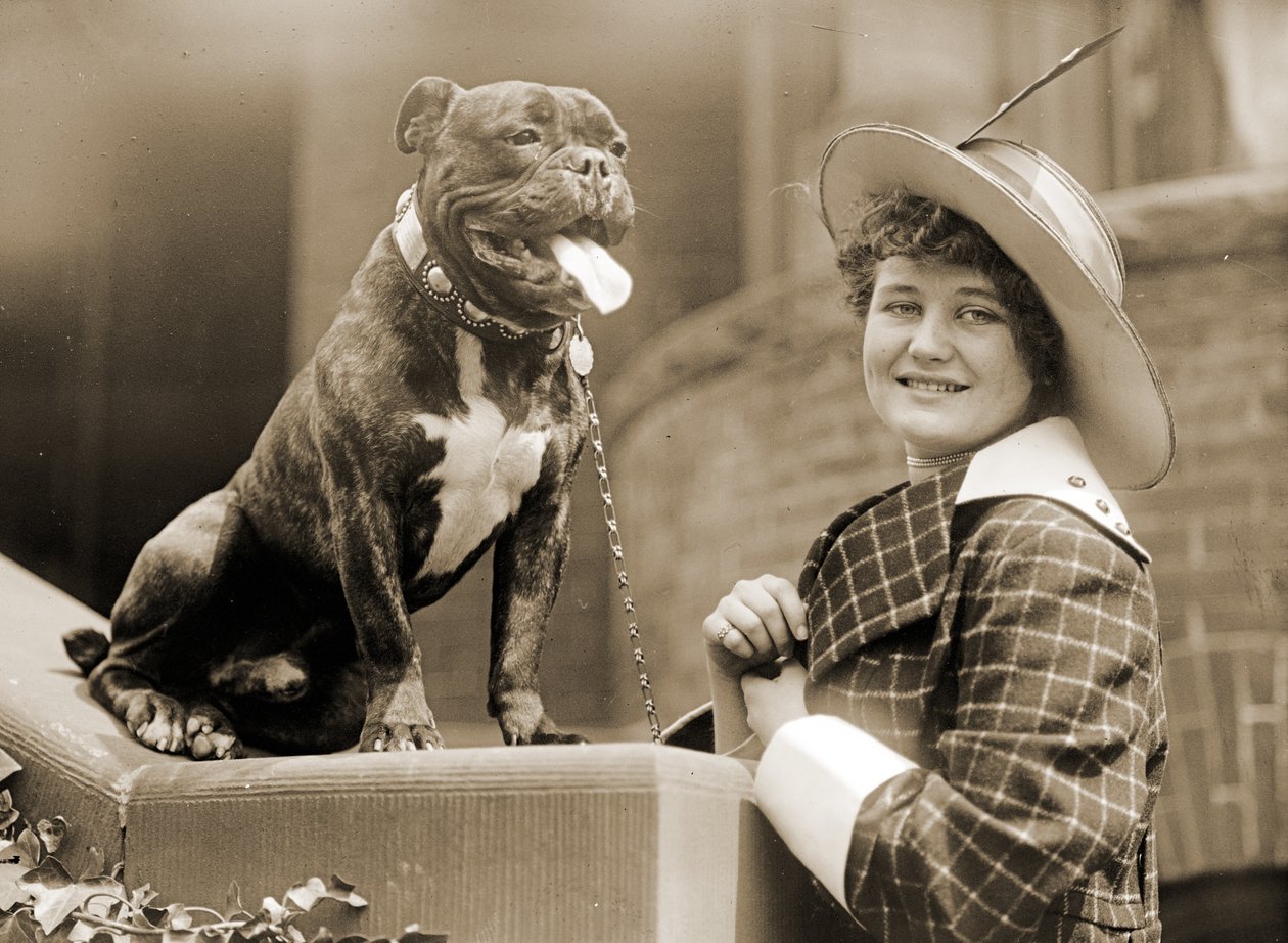Fiatal lány és bullterriere 1915 körül alkotó: Unknown