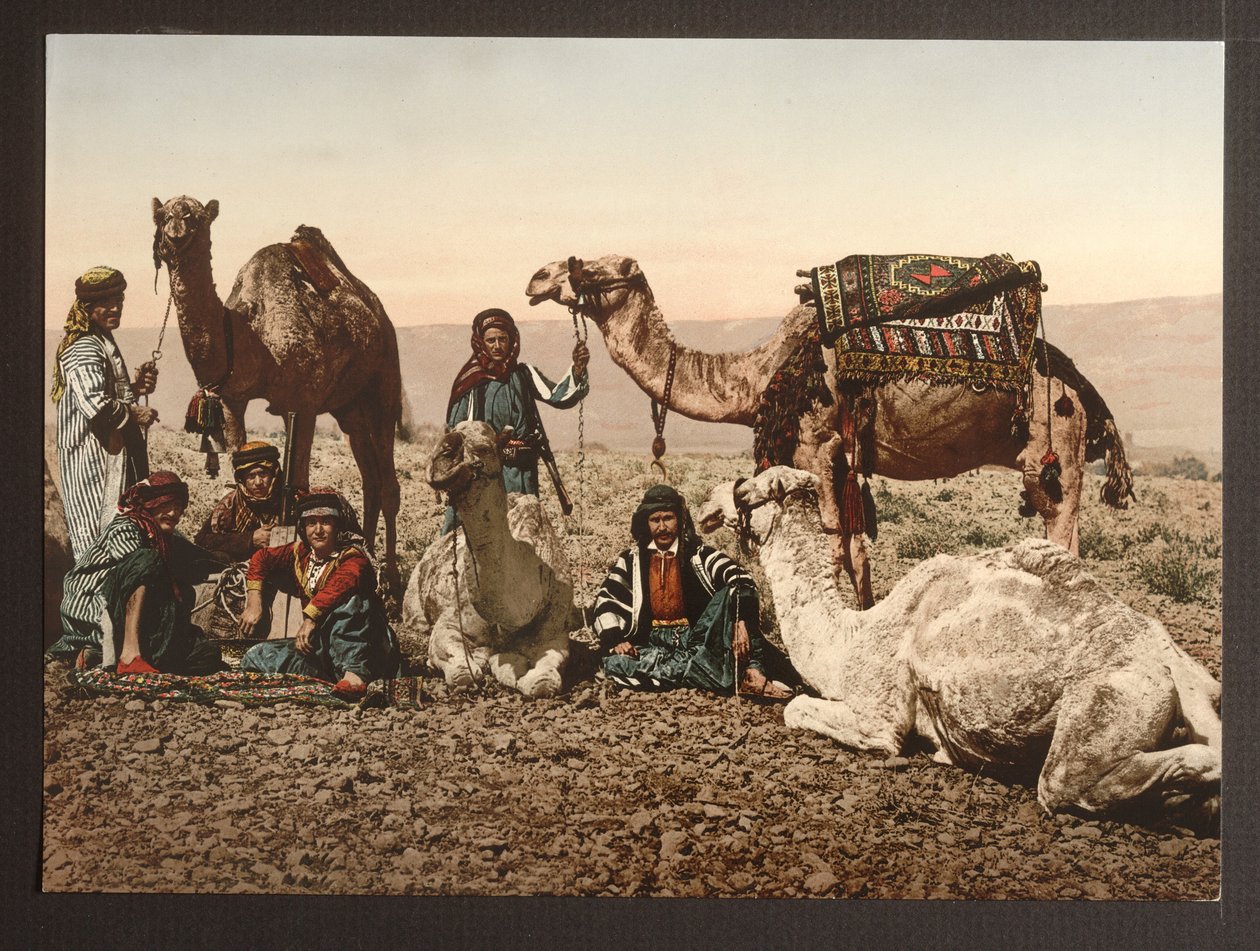 Tevevonat a sivatagban pihenve, kocsmában. 1895 alkotó: American Photographer