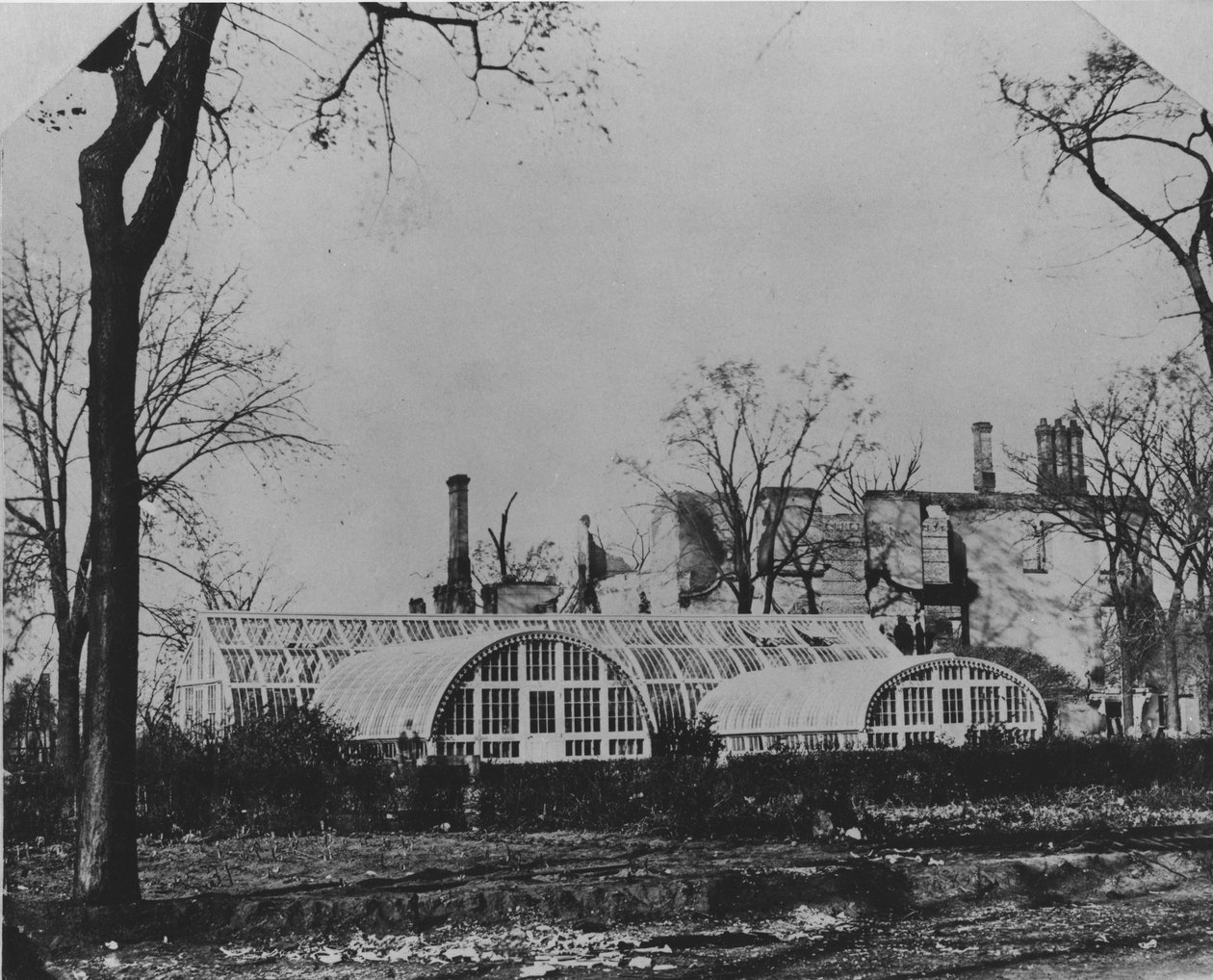 Ezra B. McCaggs rezidencia és télikert az 1871-es chicagói tűzvész után, 1871 alkotó: American Photographer