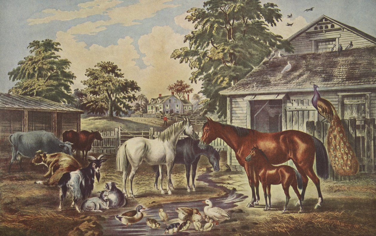 American Farm Yard - Reggel, kocsma. 1857, Currier & Ives alkotó: American School