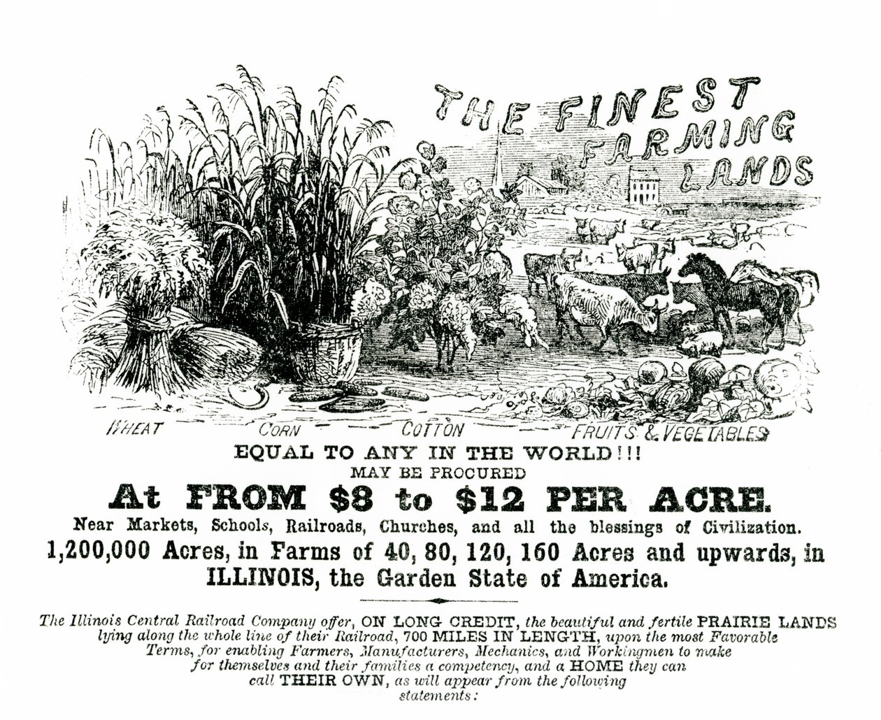 Illinois handbill hirdetési telek eladó alkotó: American School