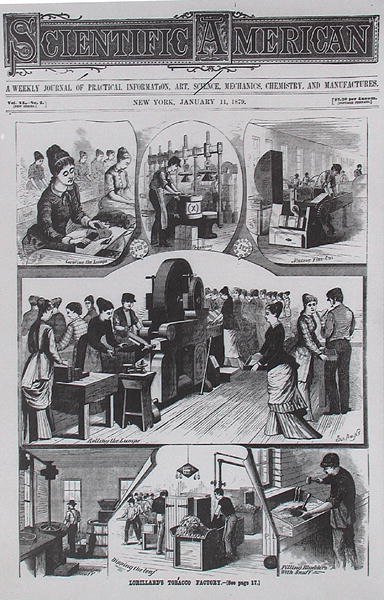 Lorillards dohánygyár, a Scientific American 1879. január 11-i számából. alkotó: American School