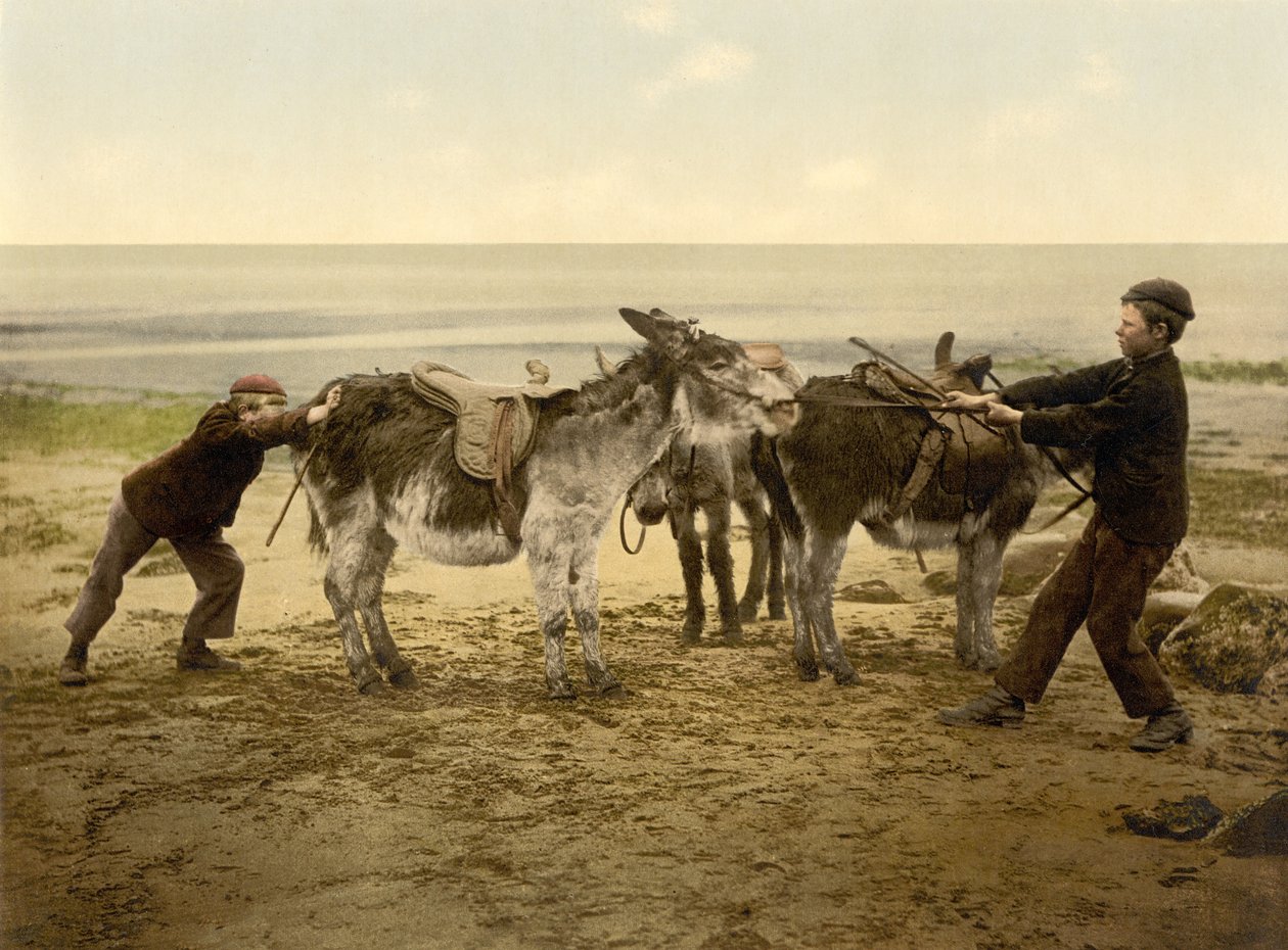 Szamarak a tengerparton, kocsmában. 1890-1900 körül (kromolitográfia) alkotó: English Photographer