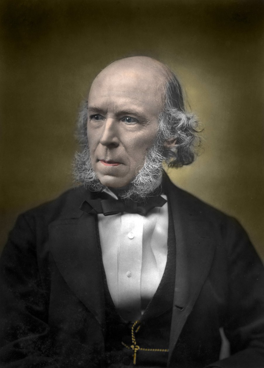 Herbert Spencer portréja alkotó: English School
