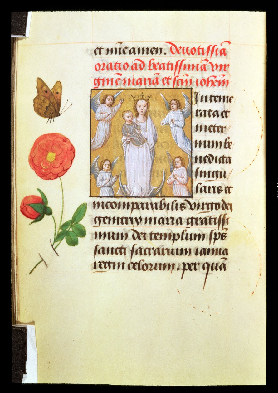 Állandó Szűz és Gyermek, Angyalok imádták, 1515-20 körül (tempera és aranyfesték velumon) alkotó: Flemish School