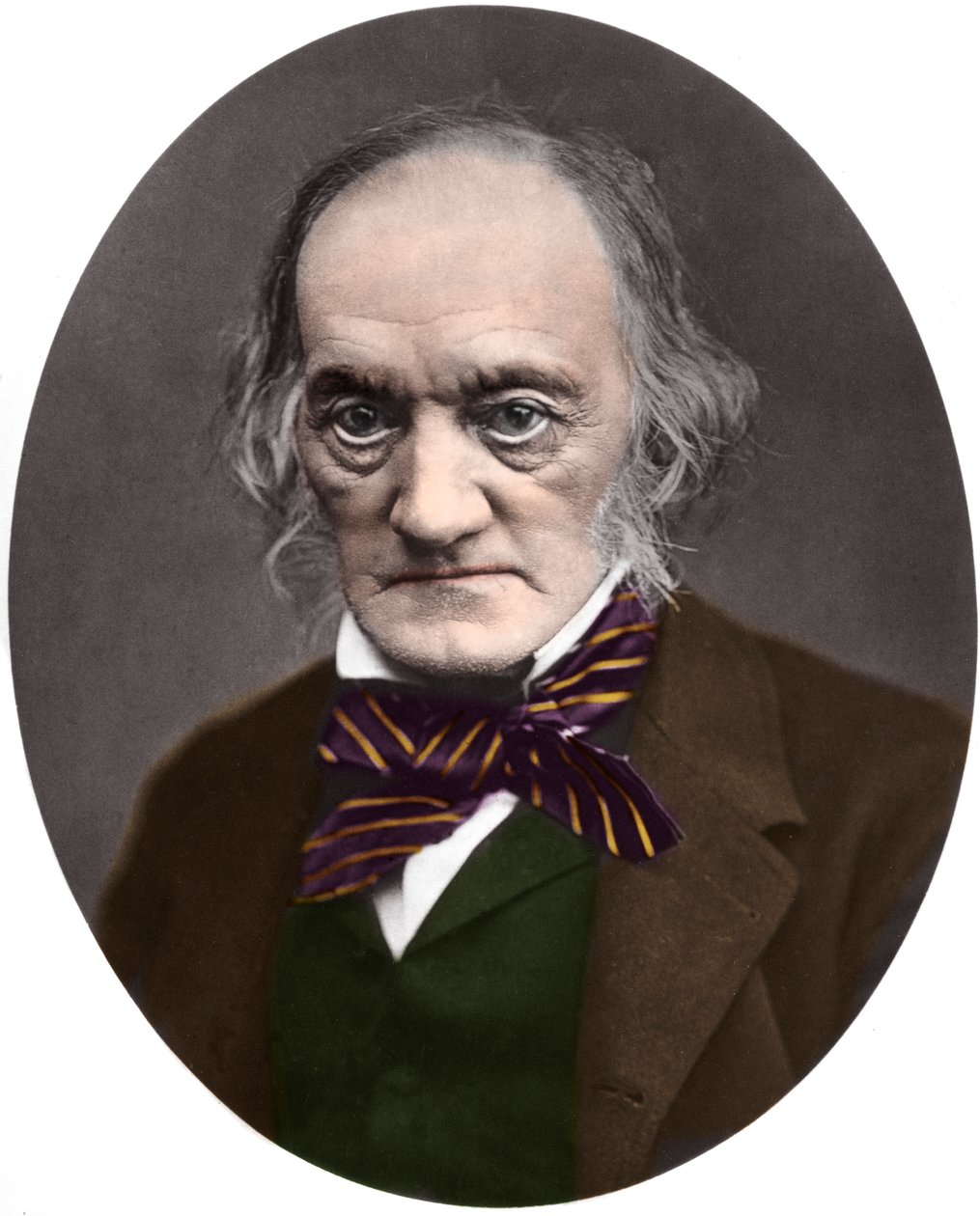 Sir Richard Owen brit paleontológus és anatómus (1804-1892) portréja alkotó: French Photographer