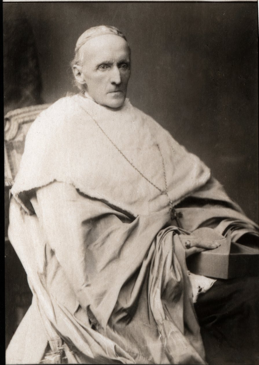 Henry Edward Manning bíboros (1808-1892) portréja alkotó: French Photographer