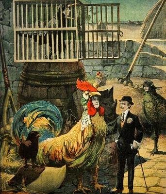 Chantecler, Edmond Rostand versjátéka, a Le Petit Journal borítója, 1910. január 30. alkotó: French School