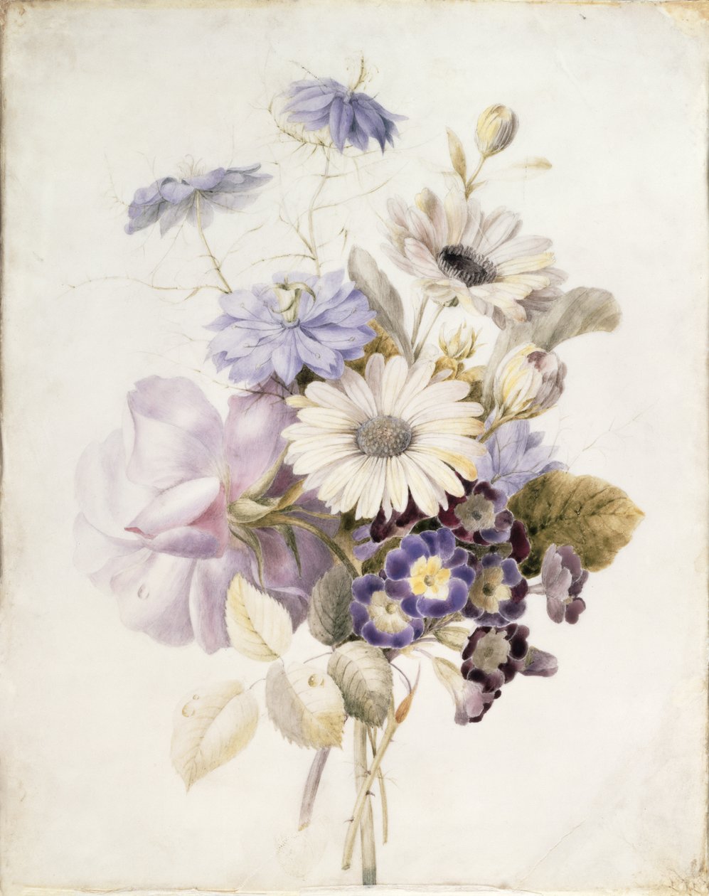 Virágok százszorszépekkel, 1840 (wc papíron) alkotó: French School