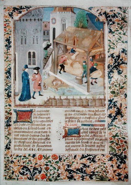 Ms 5064 fol.35r Threshing, a Livre des Prouffitz Champestrestől, Pietro de Crescenzi (1230-132021) alkotó: French School