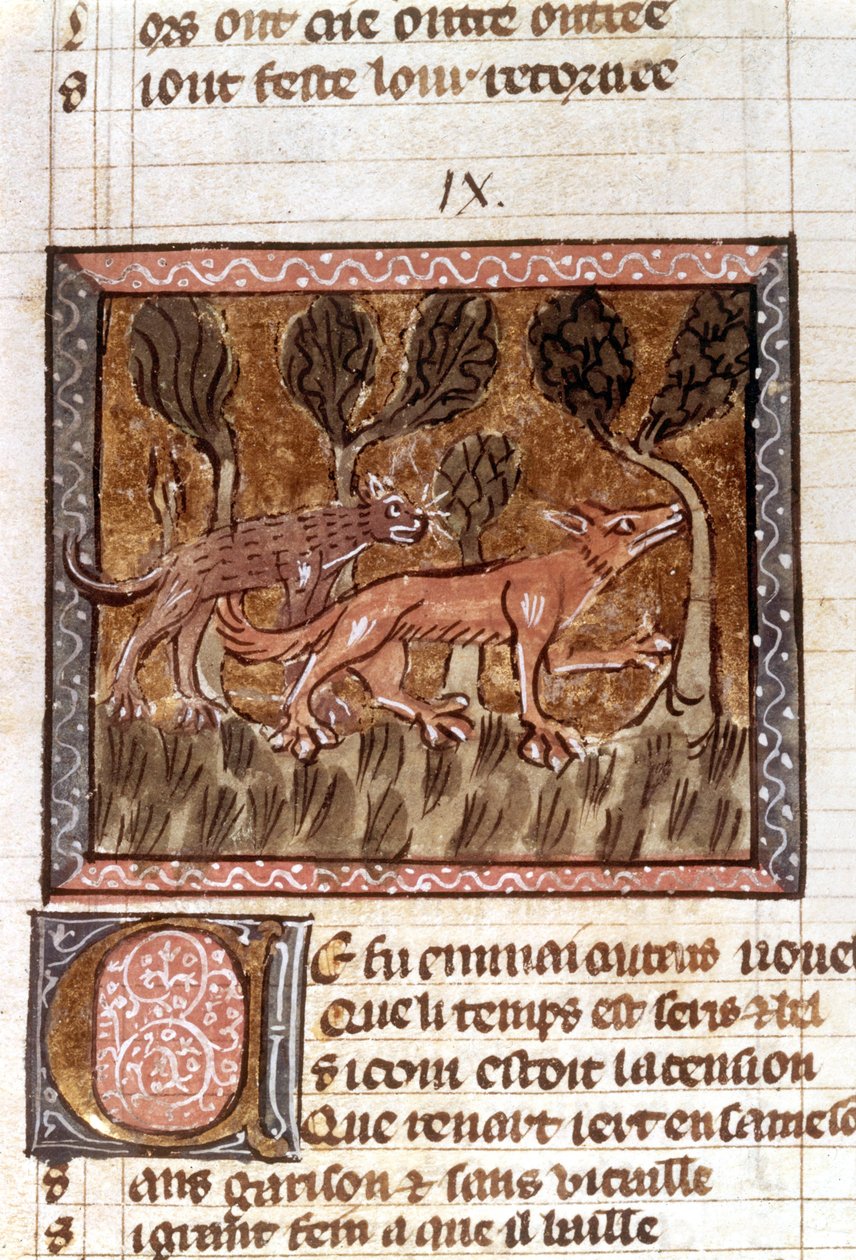 A róka és a farkas, megvilágítás a Roman de Renart (A róka regénye) című kéziratból, XIII. alkotó: French School
