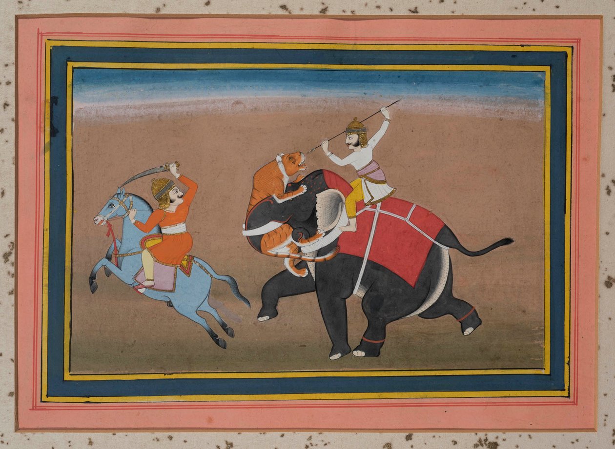 Tigris megtámad egy elefántot (guache papíron, arany díszítés) alkotó: Indian School