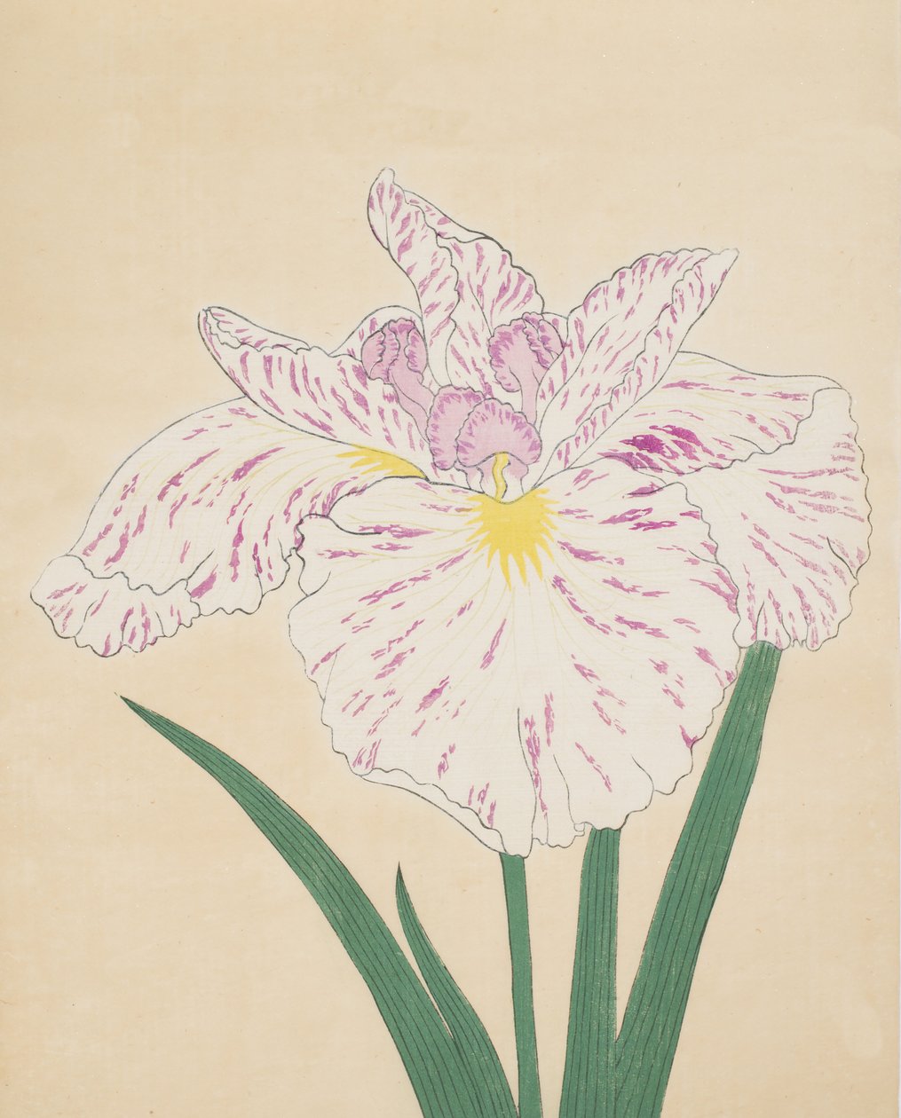 Ujino folyó köd. 55, 1890 (Ez a DBock p Hayashi t) alkotó: Japanese School