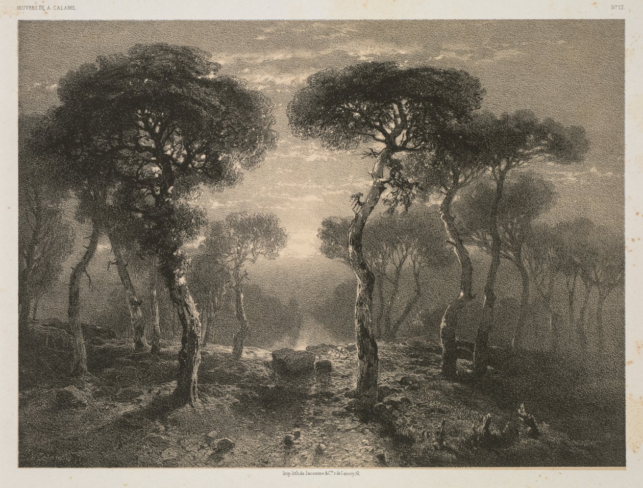 A. Calame művei, 13. sz.: Sierre-i erdő Valaisban, 1843, megjelent 1851. alkotó: 12 Jacomme and Cie. R. de