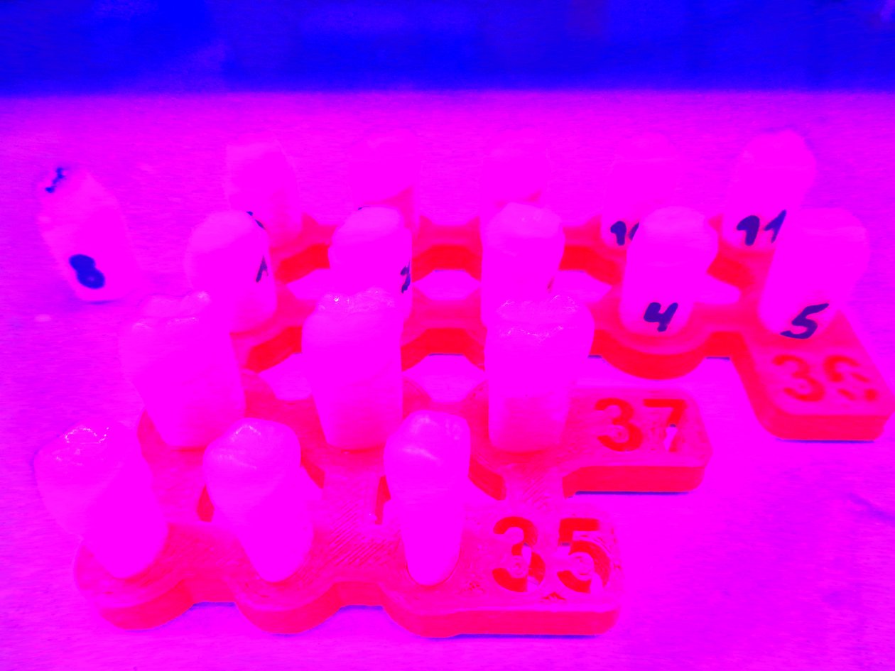 Neon fogak alkotó: Martina Konitzky