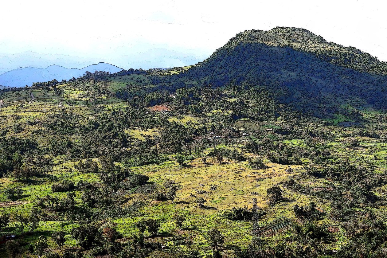 Cebu Hills alkotó: Detlef B. Fischer
