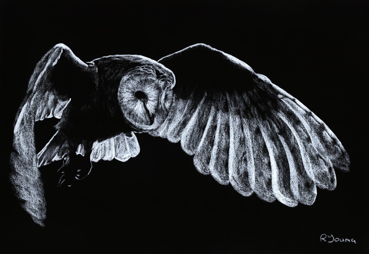 Csűrbagoly alkotó: Richard Young