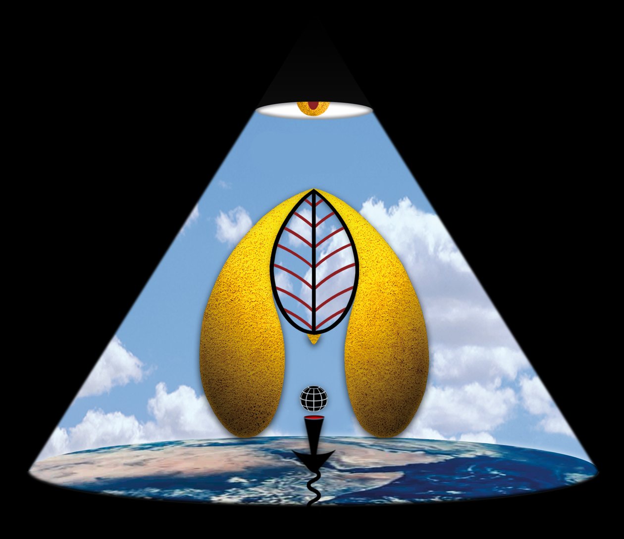 Im Anfang war das Wort (aus der Serie Lichtung) alkotó: Alexander Eibach