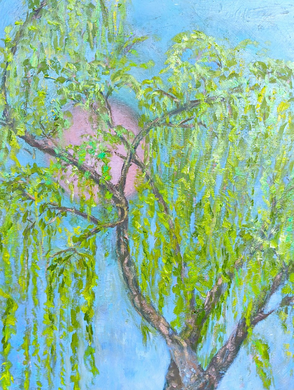 A fűzfa, amely nem nevet alkotó: Elzbieta Goszczycka