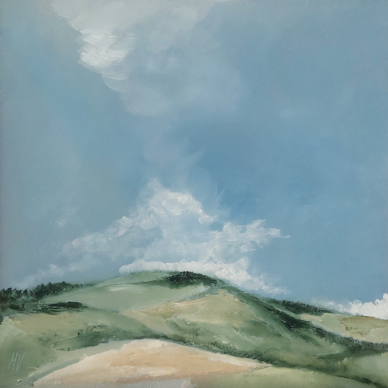 Sík domb alkotó: M. Vet