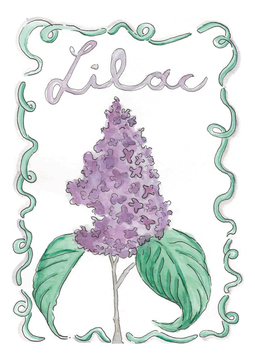  alkotó: june art