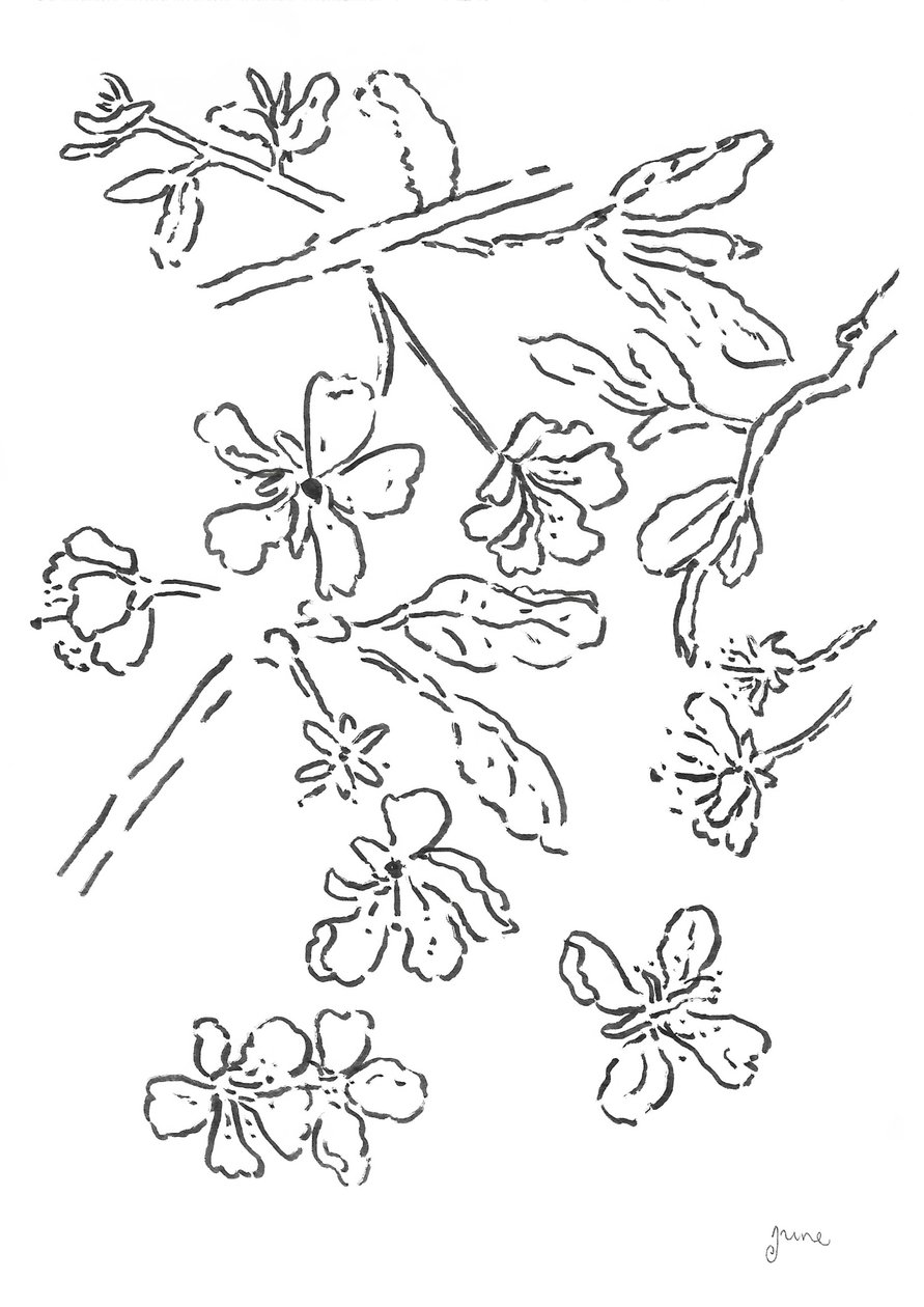 Blossom Ink tanulmány alkotó: june art