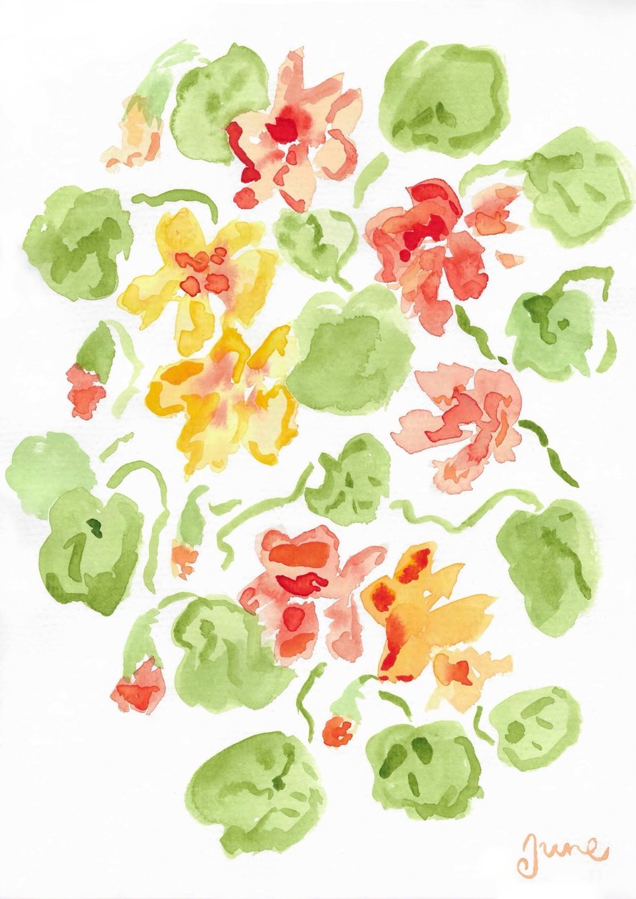 Nasturtiumok alkotó: june art