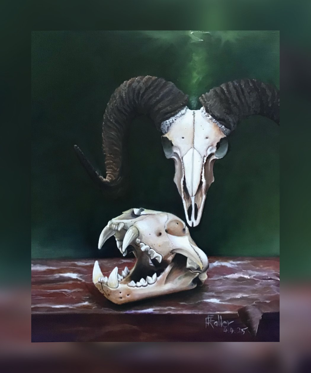Memento mori (Állati koponyák tanulmánya) alkotó: Faller Rüdiger - Tician