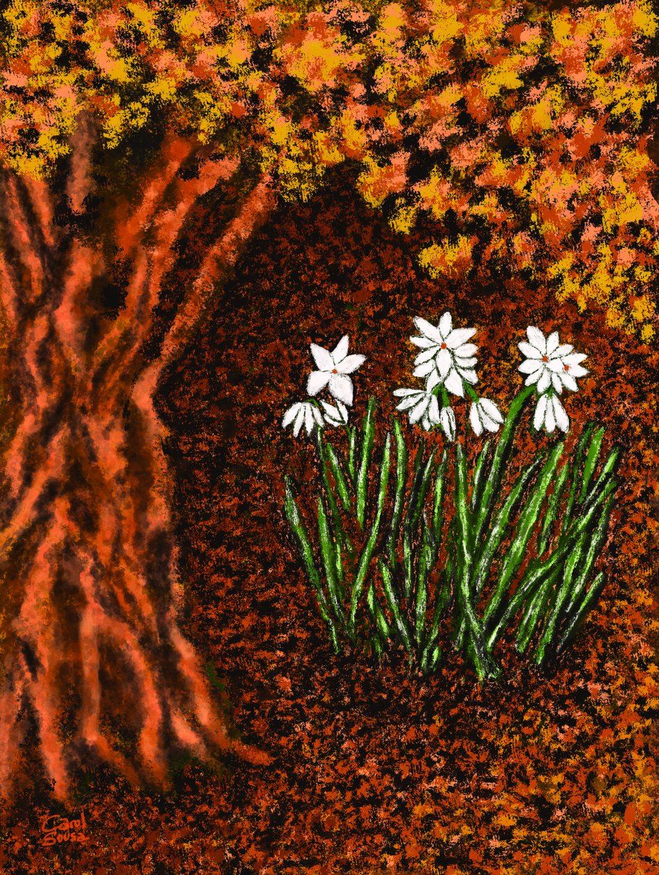 Herbstblumen alkotó: Carol Sousa Cuello