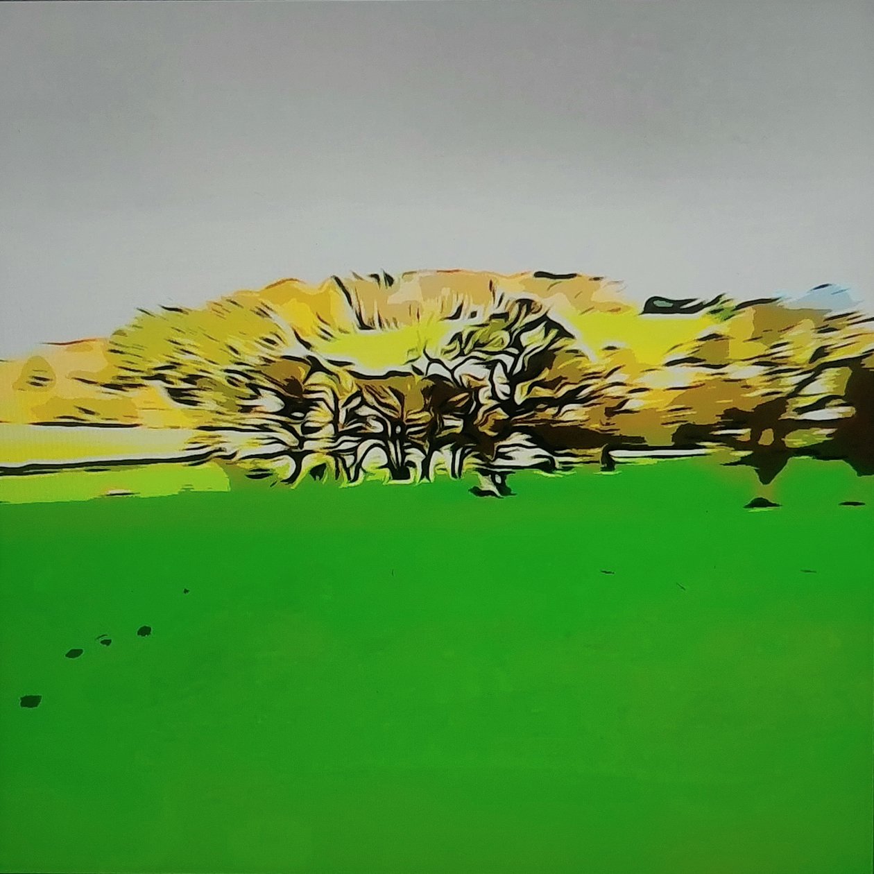 Digitale Landschaft 24 alkotó: M. Vet