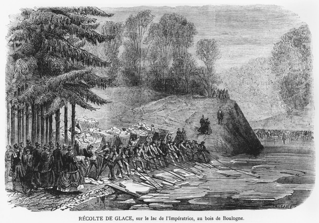 Jégbetakarítás a párizsi Bois de Boulogne-i Császárnő-tavon, illusztráció a Le Journal Illustre-ből, 1870. február 13. alkotó: A. Lamy