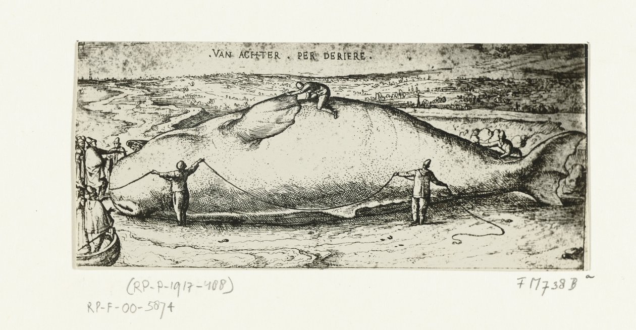 Az Antwerpen közelében elmosódott bálna lenyomata, 1577. július 2 alkotó: A.B. van Deinse