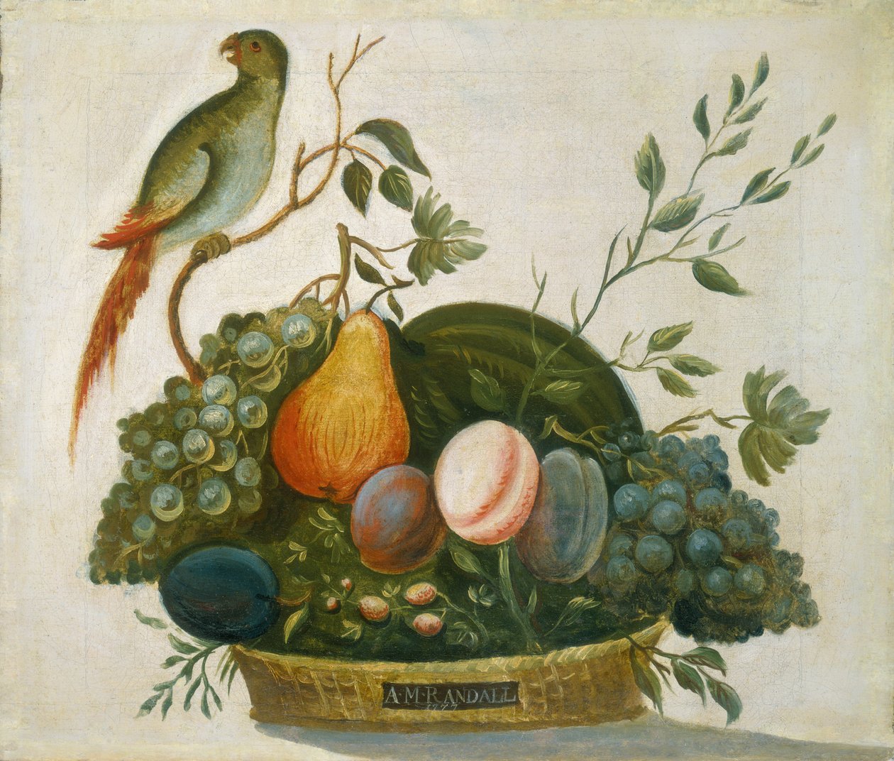 Gyümölcskosár papagájjal alkotó: A.M. Randall