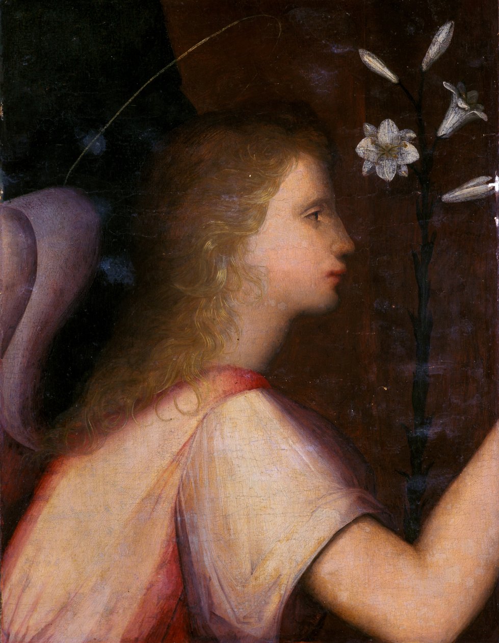 Gábriel arkangyal (tempera fán) alkotó: A. 1485 c.1525 Piccinelli