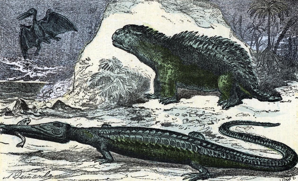 Őstörténet: egy teleoszaurusz (meghosszabbodó pofa) és egy hyleosaurus ábrázolása a jura időszakból” (Prehistory, Jurassic: teleosaurus and hylaeosaurus) Metszet a „természet és ember”-ből, Rengade 1881 Magángyűjtemény alkotó: A. Demarle