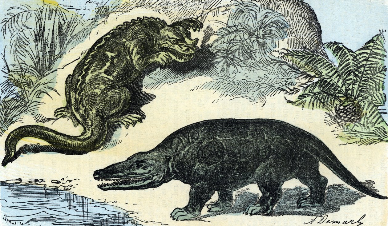 Őstörténet: egy iguanodon és megalosaurus ábrázolása a kréta időszakból alkotó: A. Demarle