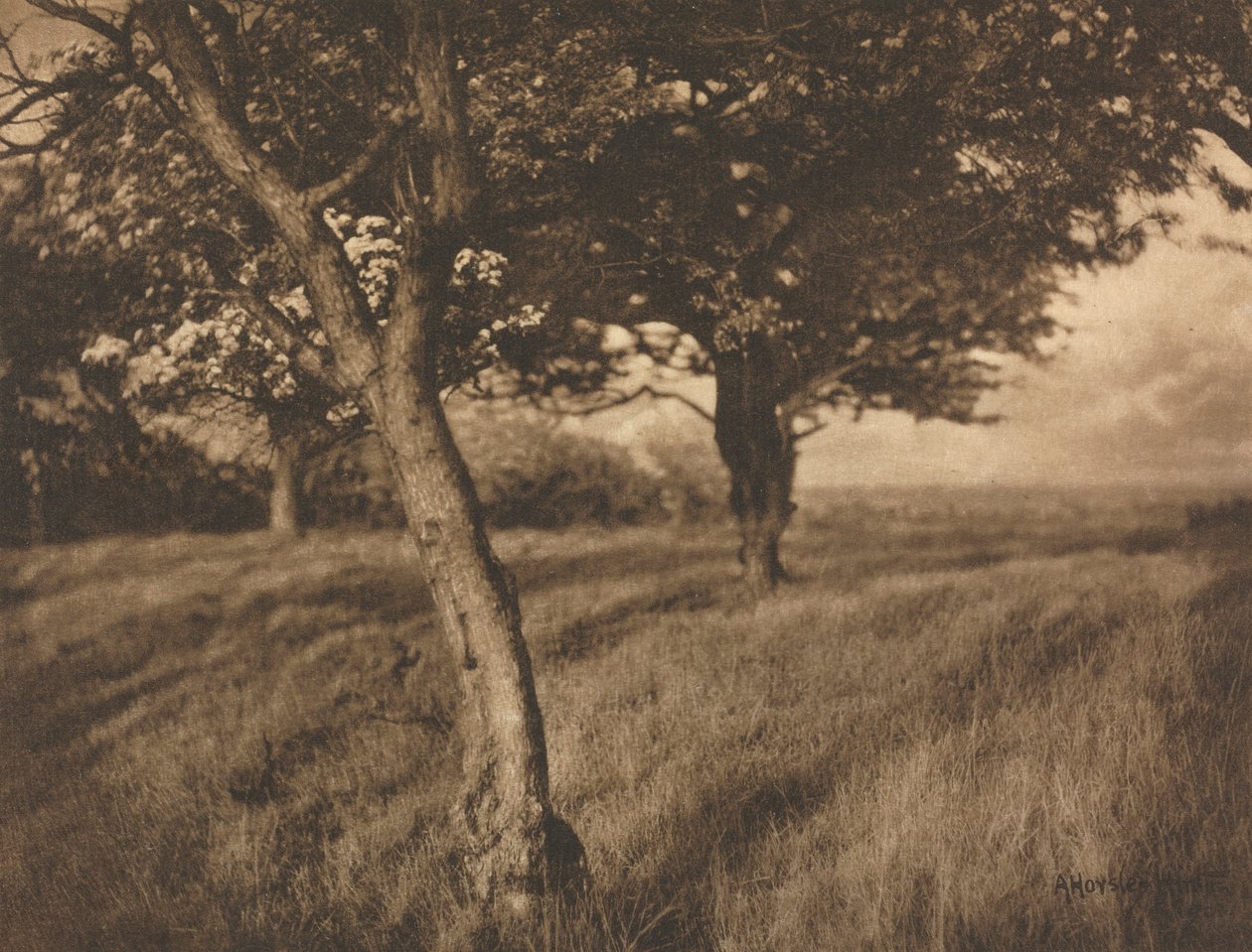 Kameramunka: túl alkotó: A. Horsley Hinton